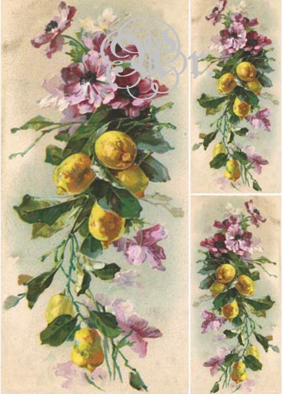 Papel Arroz 35*50 Dgr159