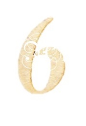 [31031016] D.M. Numero 20 Mm. 6