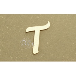 [3103304T] D.M. Laser Letra 80 Mm. T