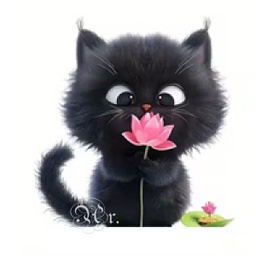 [0886023] Transfer Textil Dtf 18*18 Cm. Gato Flor