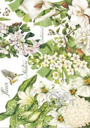 [0217308] Papel Arroz 35*50 Dgr308