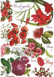 [0217311] Papel Arroz 35*50 Dgr311