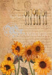 [0217639] Papel Arroz 35*50 Tcr039